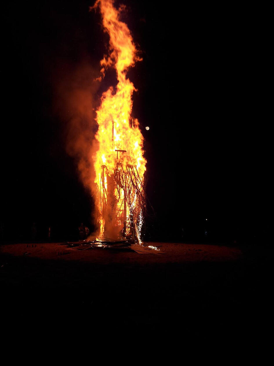 Tree of Life - Burn
